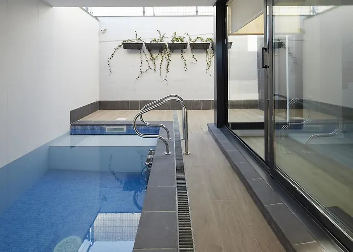 Alimar - Basque Saint-Sébastien