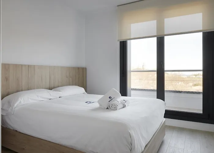 Alimar - Basque 圣塞瓦斯蒂安