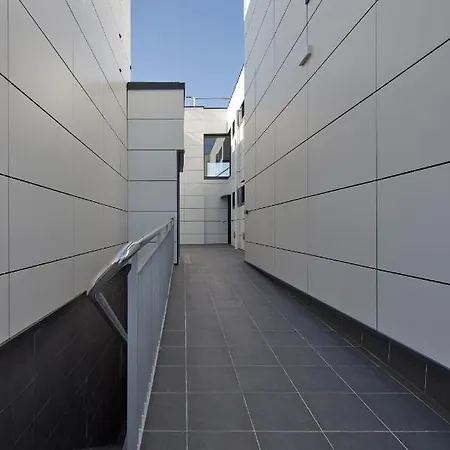 Alimar - Basque سان سيباستيان